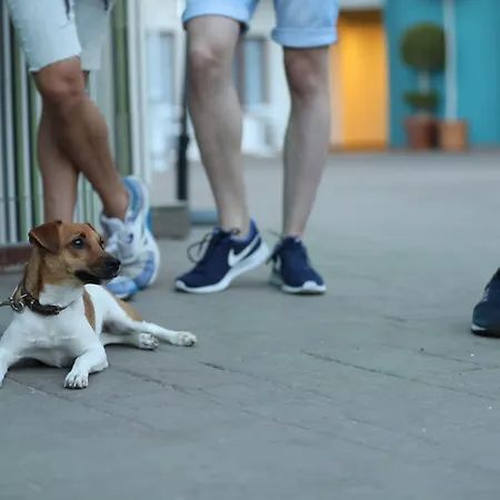 호텔 Ritual Maspalomas - Adults Only